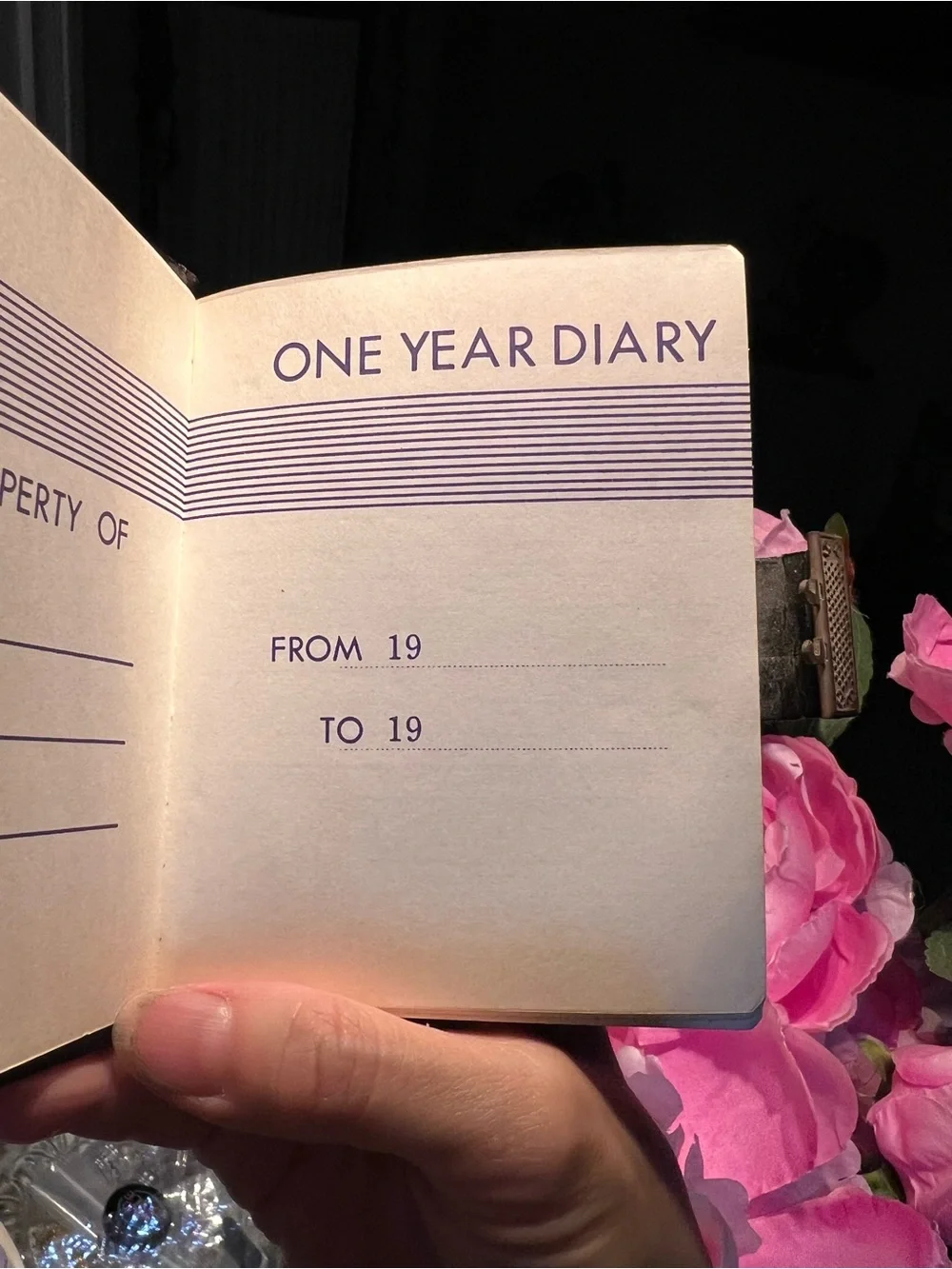 Antique One Year Diary Like new, read below